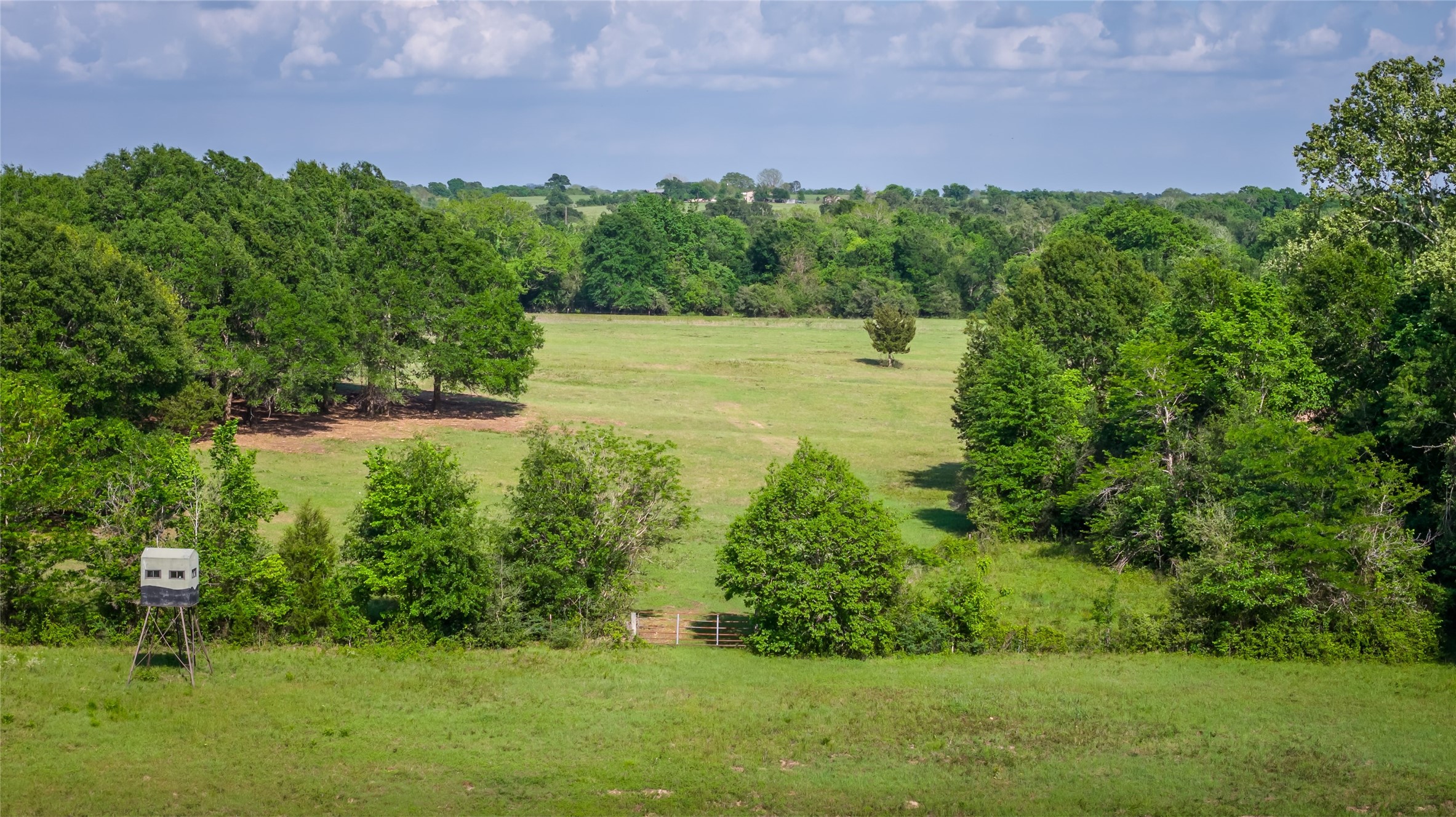 4201 Krueger Road Washington, TX 77880 - Photo 15 of 31 a view of a lake with a yard