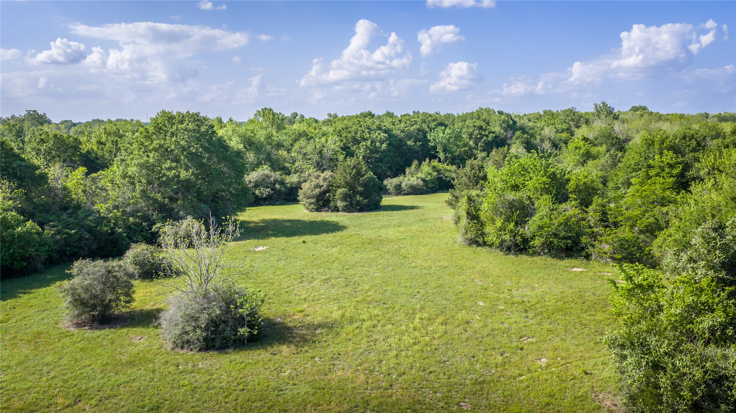 4201 Krueger Road Washington, TX 77880 - Photo 19 of 31 a view of a garden with a building in the background
