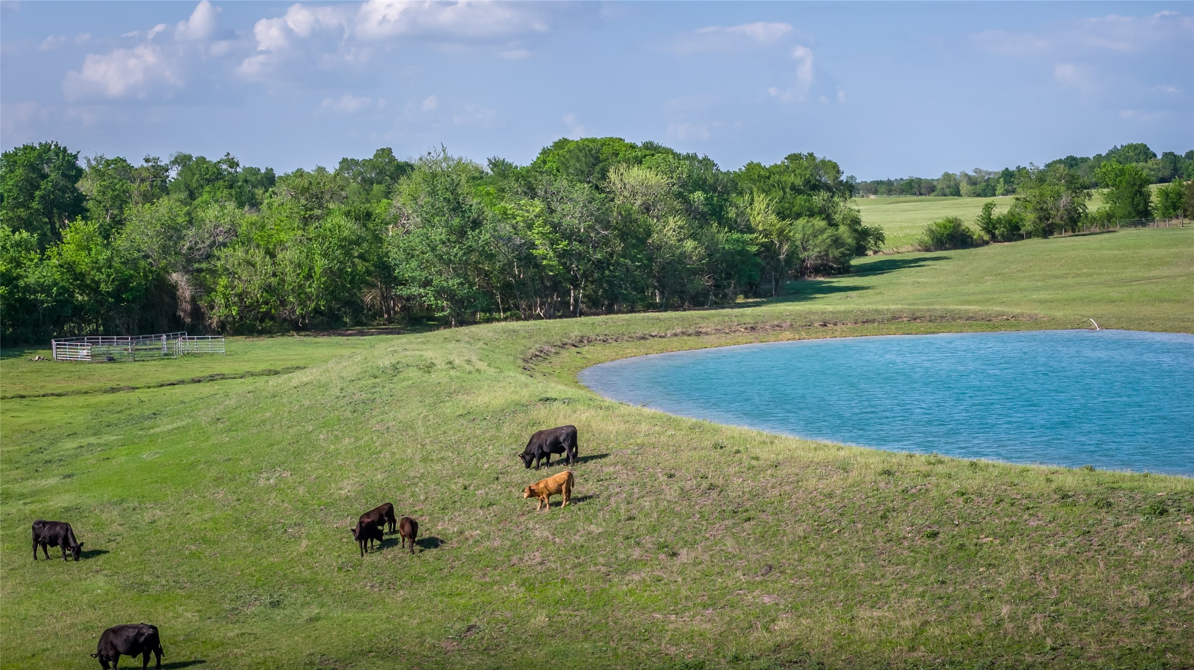 4201 Krueger Road Washington, TX 77880 - Photo 2 of 31