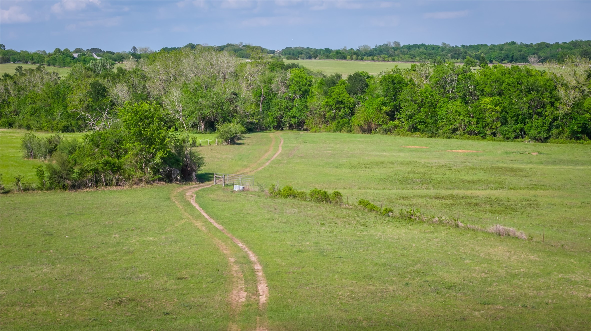 4201 Krueger Road Washington, TX 77880 - Photo 4 of 31 a view of a lush green forest with a mountain