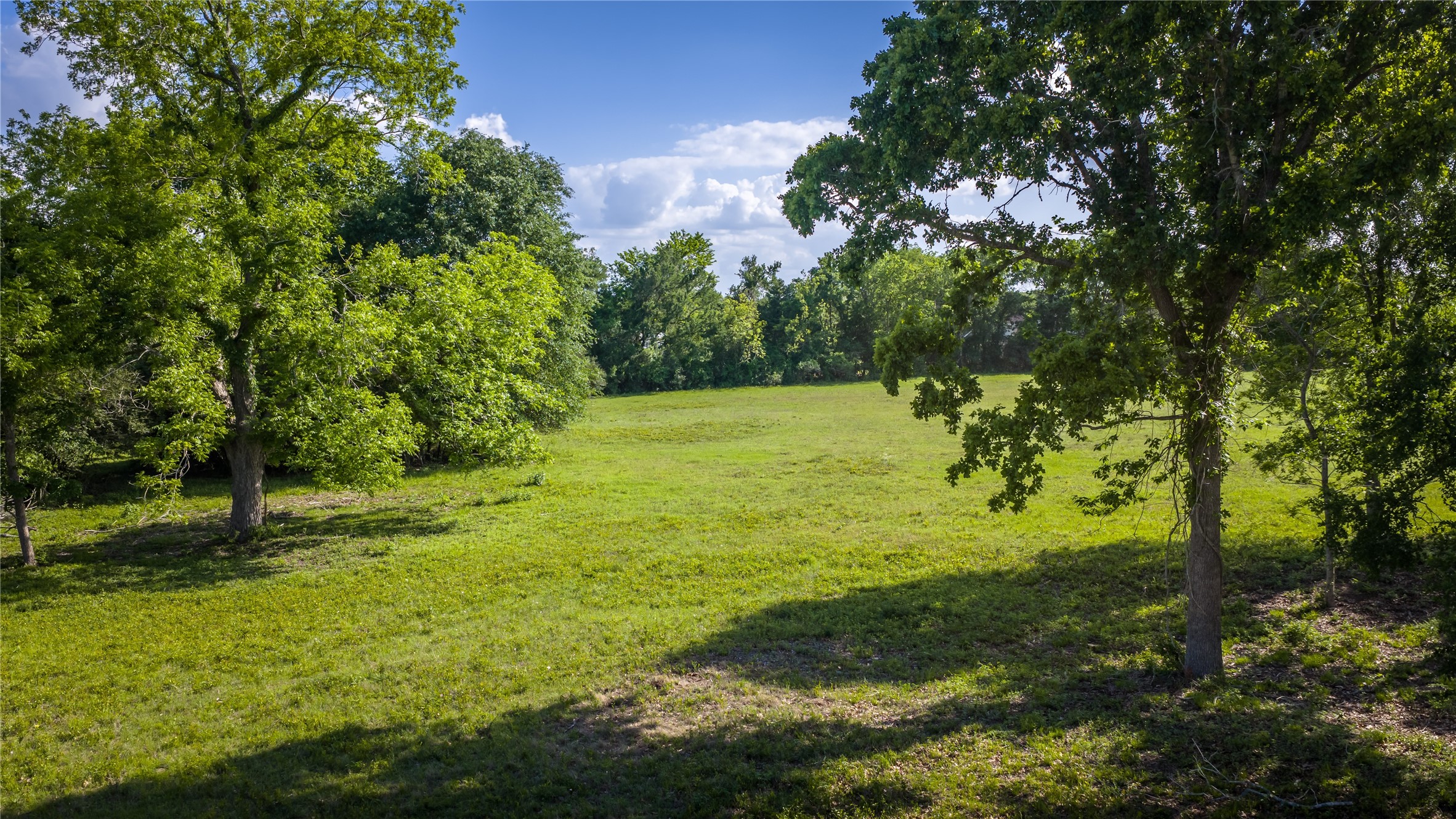 4201 Krueger Road Washington, TX 77880 - Photo 7 of 31 a view of a trees with a yard