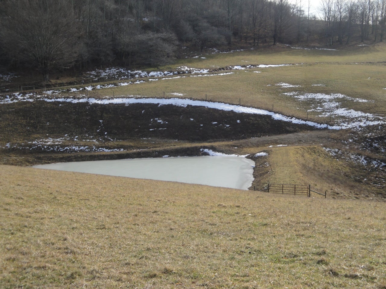 Ramsey Rd Valley Valley Head, WV 26294 - Photo 12 of 33 View 2 of Pond