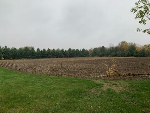 Tbd Harrison Avenue Northeast Racine, MN 55967 - Photo 1 of 1 Gallery Image 1