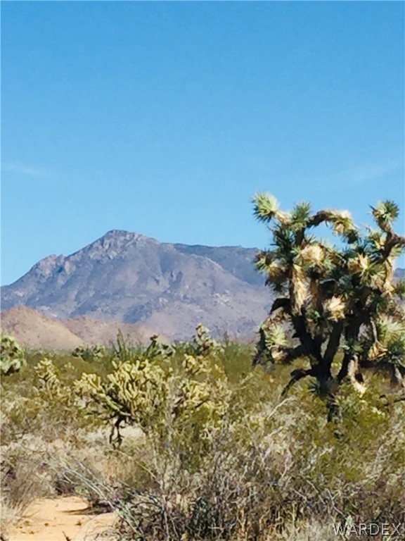 575 South Jesse James Road Yucca, AZ 86438 - Photo 1 of 14 Gallery Image 1