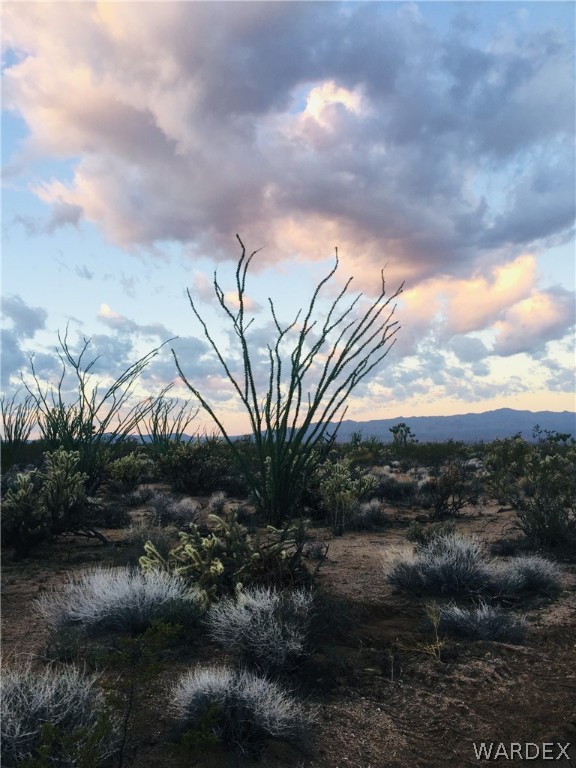 575 South Jesse James Road Yucca, AZ 86438 - Photo 13 of 14 Gallery Image 13