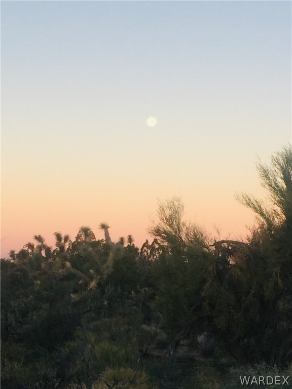 575 South Jesse James Road Yucca, AZ 86438 - Photo 14 of 14 Gallery Image 14