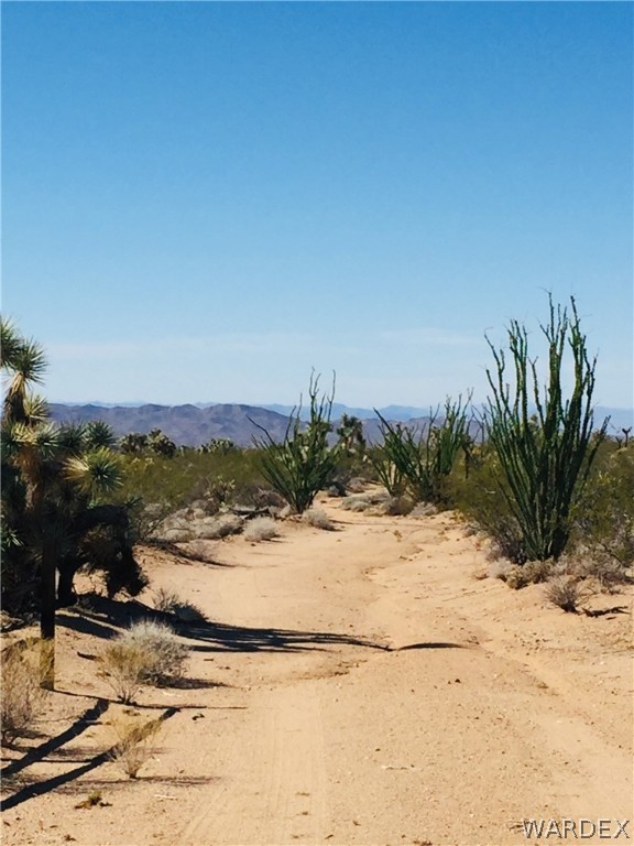 575 South Jesse James Road Yucca, AZ 86438 - Photo 3 of 14 Gallery Image 3
