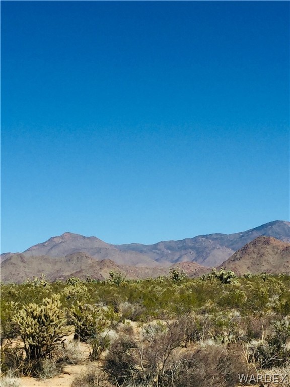 575 South Jesse James Road Yucca, AZ 86438 - Photo 4 of 14 Gallery Image 4