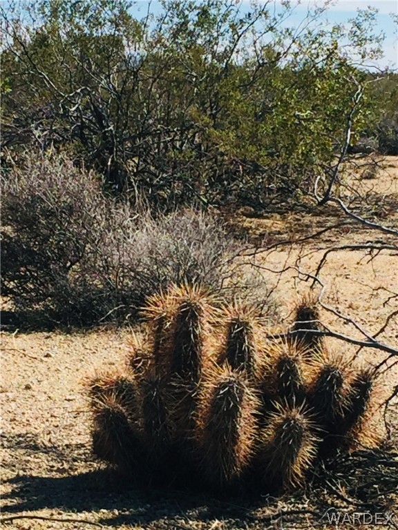575 South Jesse James Road Yucca, AZ 86438 - Photo 6 of 14 Gallery Image 6
