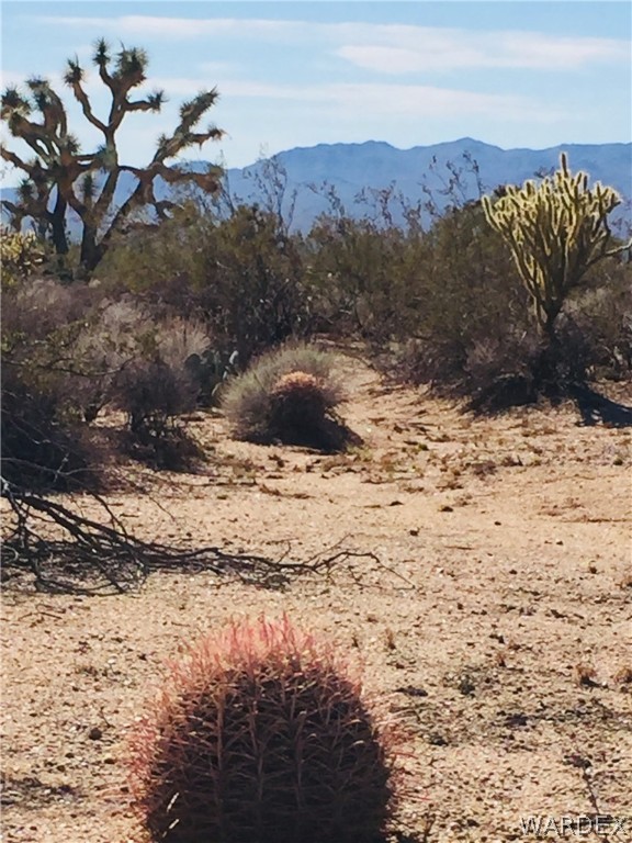 575 South Jesse James Road Yucca, AZ 86438 - Photo 7 of 14 Gallery Image 7