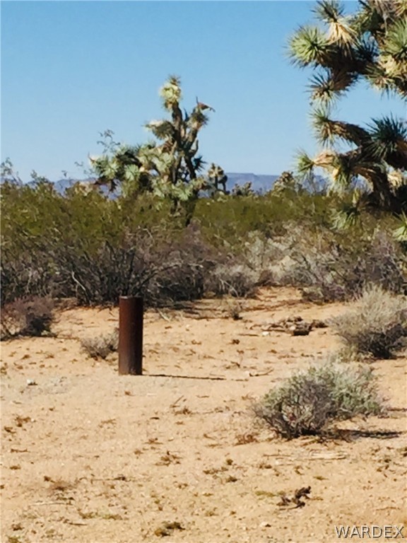 575 South Jesse James Road Yucca, AZ 86438 - Photo 8 of 14 Gallery Image 8