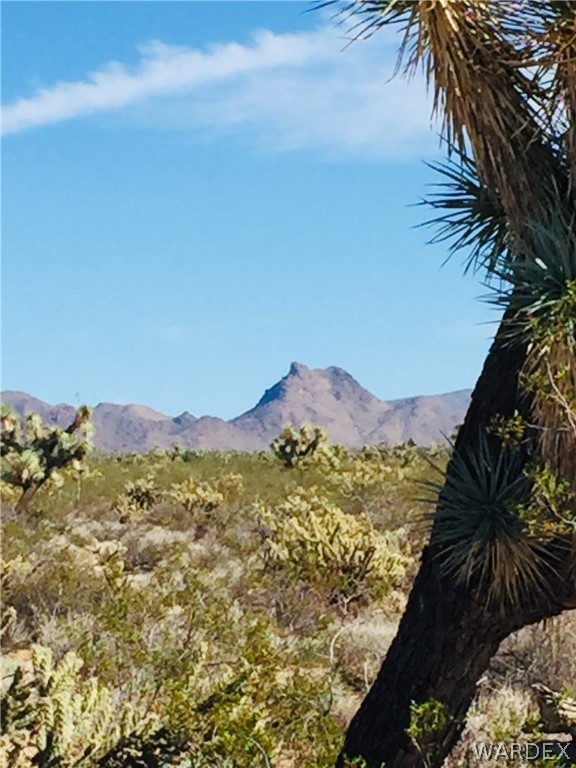 575 South Jesse James Road Yucca, AZ 86438 - Photo 9 of 14 Gallery Image 9
