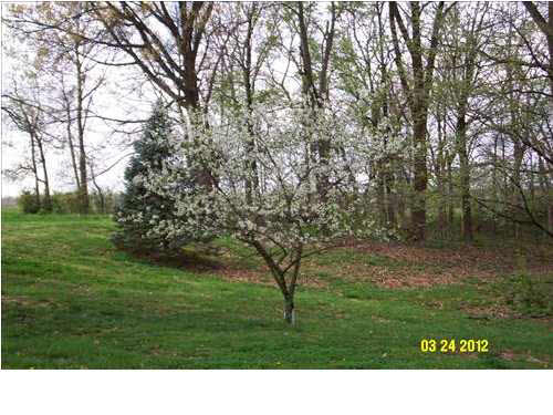 3099 Stevens Road Mount Vernon, IN 47620 - Photo 22 of 27
