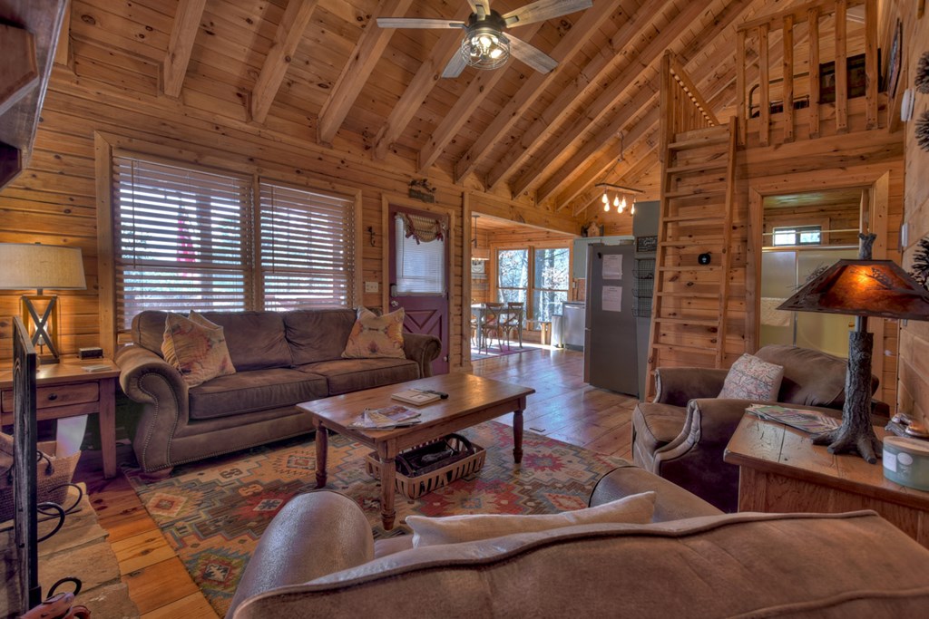 468 Conley Branch Road Blue Ridge, GA 30513 - Photo 3 of 20 Gallery Image 3