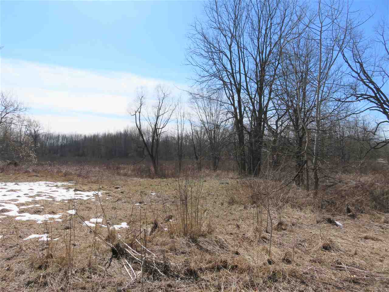 0 West Beard Road Perry, MI 48872 - Photo 1 of 4