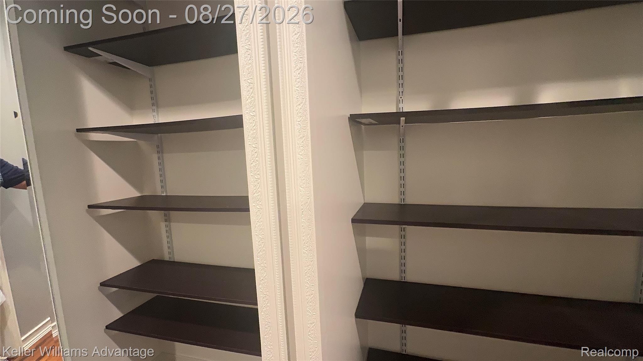 29726 Pine Ridge Circle Farmington, MI 48331 - Photo 33 of 42 Closets.jpg