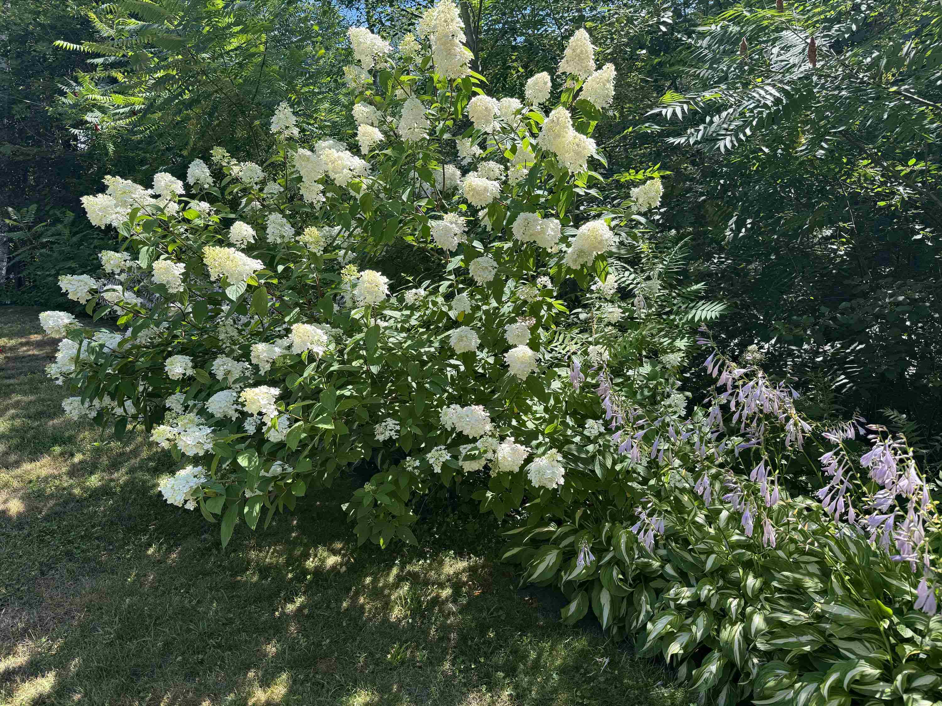 321 Leonard Road Dummerston, VT 05301 - Photo 28 of 31