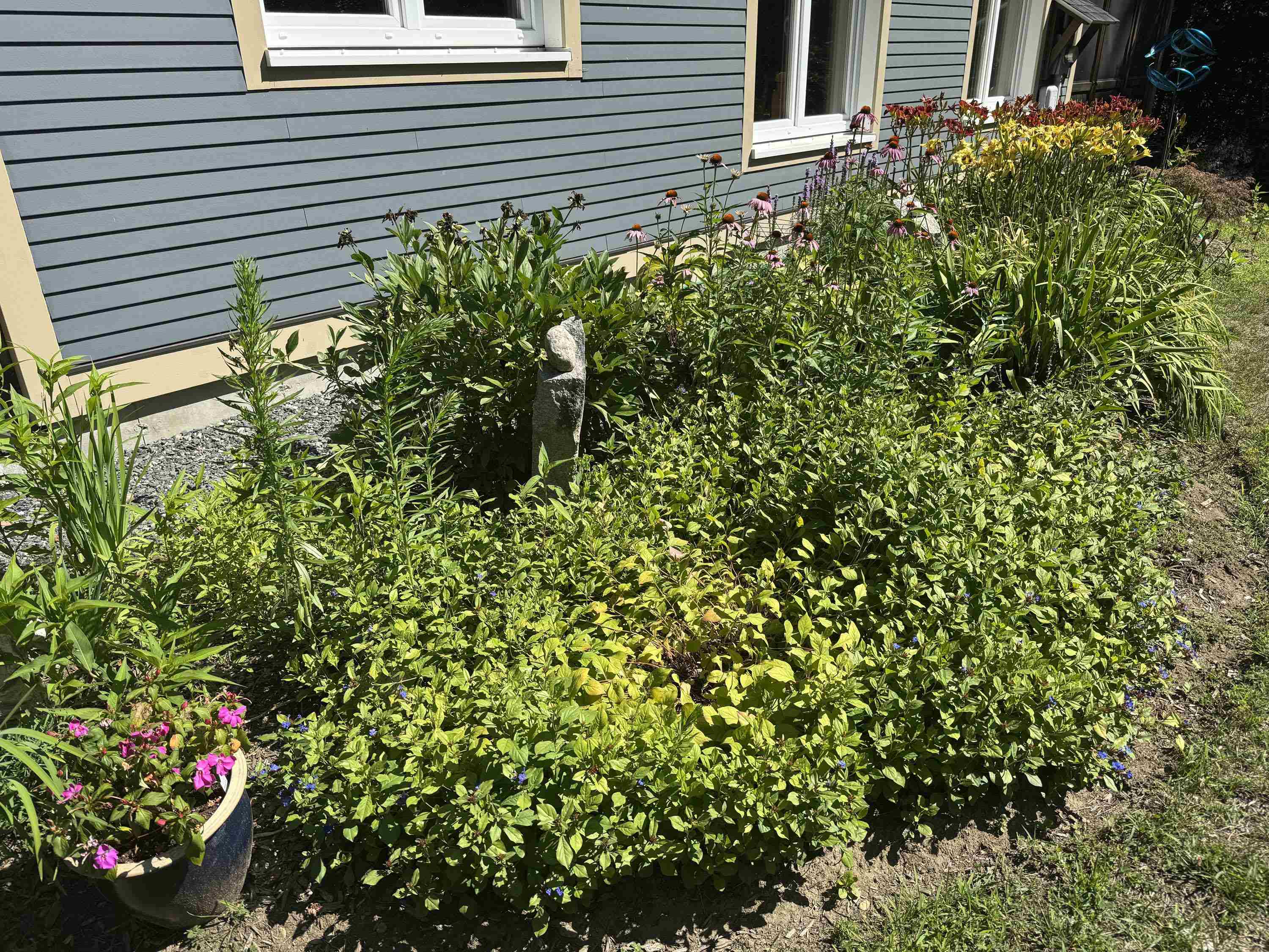 321 Leonard Road Dummerston, VT 05301 - Photo 29 of 31