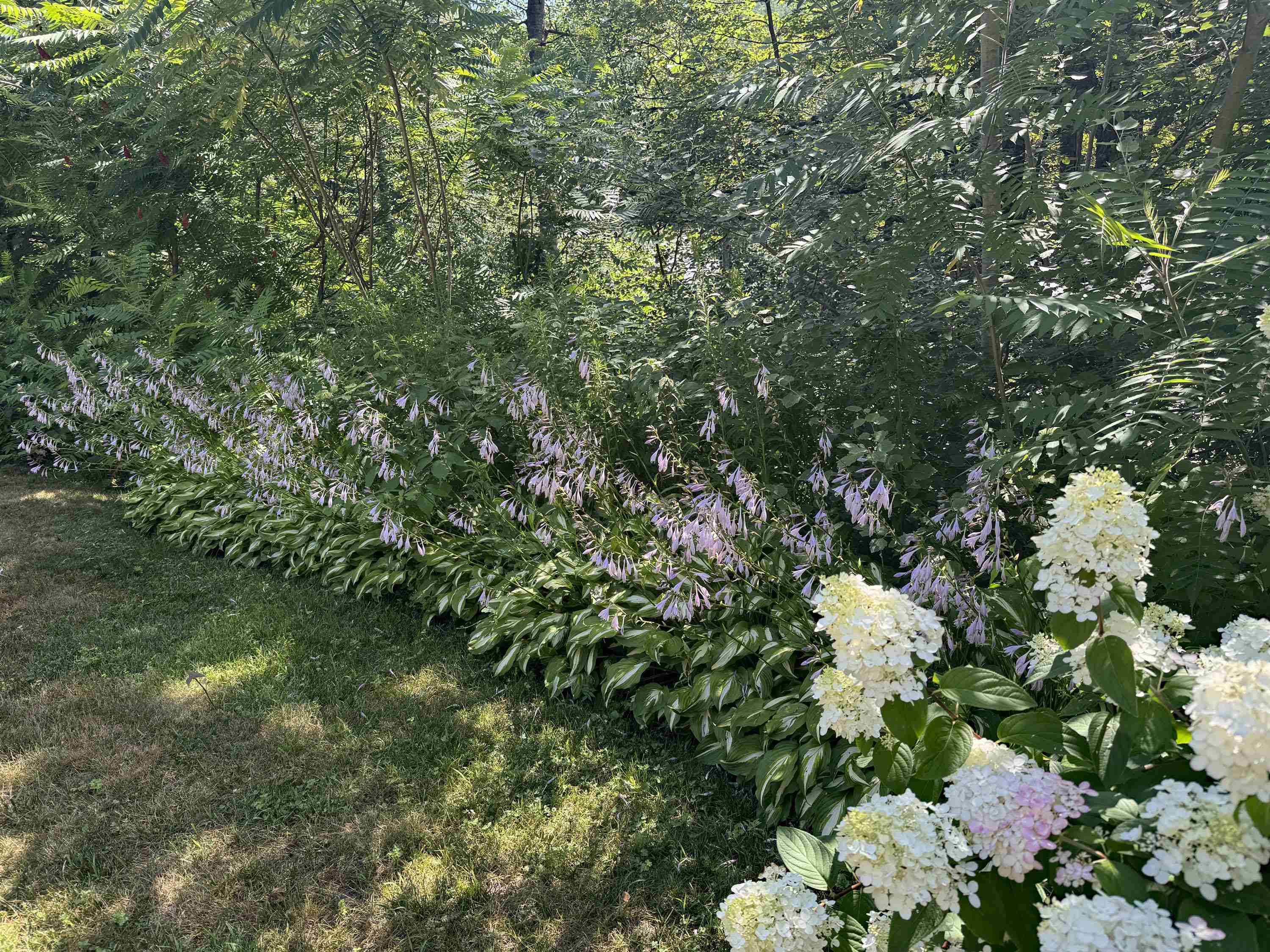 321 Leonard Road Dummerston, VT 05301 - Photo 30 of 31