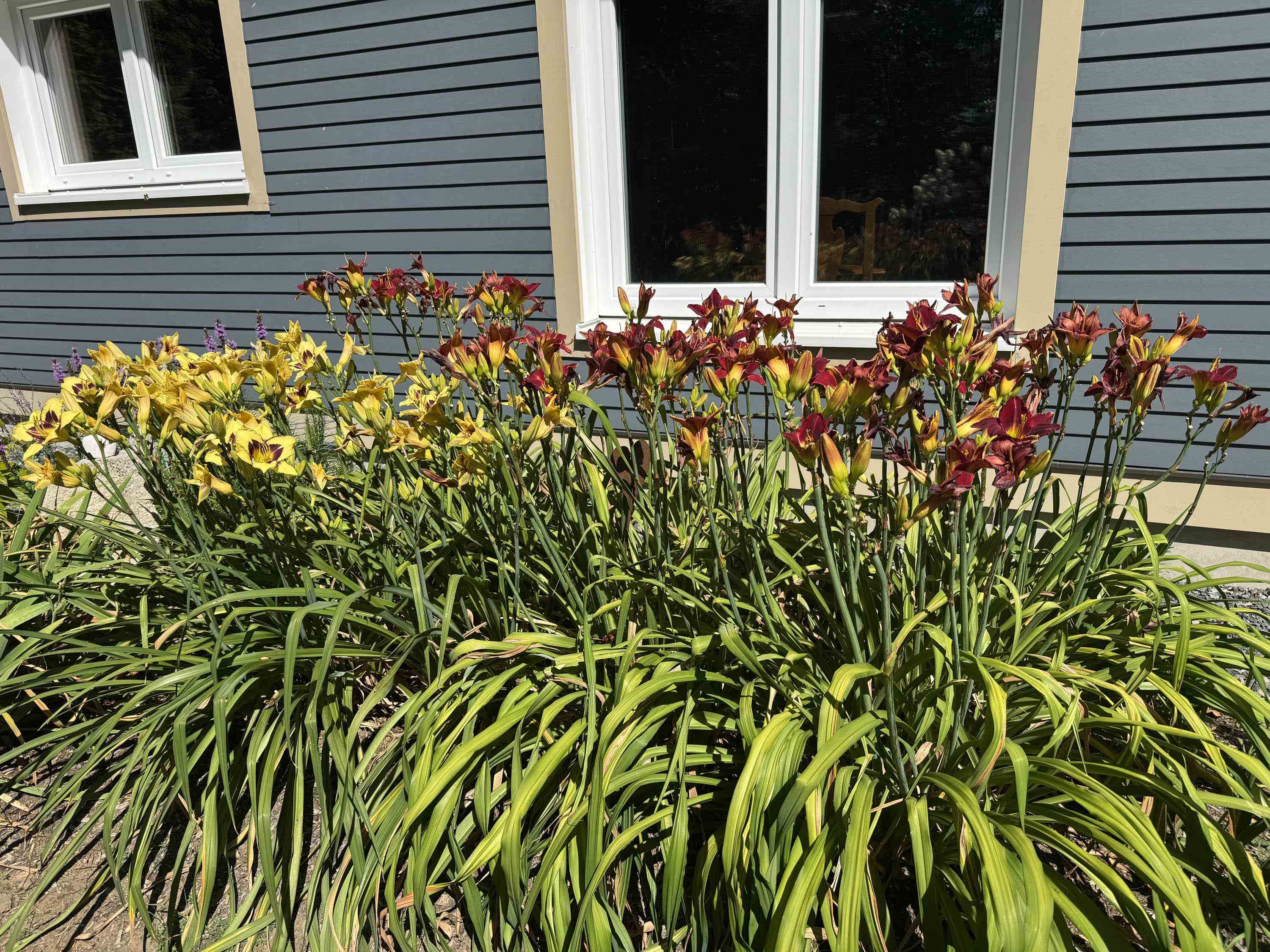 321 Leonard Road Dummerston, VT 05301 - Photo 31 of 31