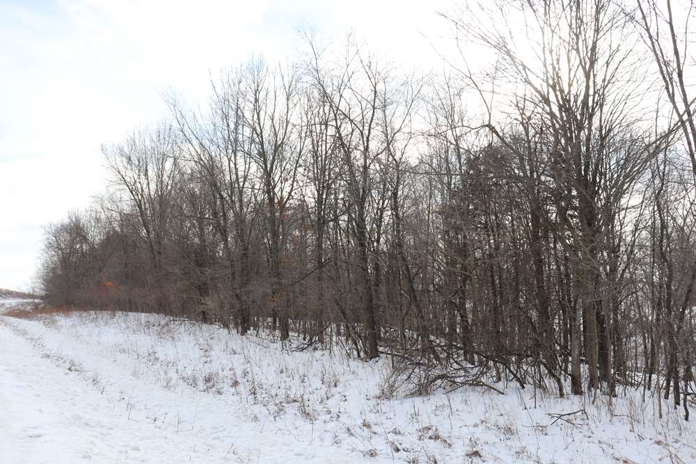 North Winn Road Decorah, IA 52101 - Photo 2 of 4 Gallery Image 2