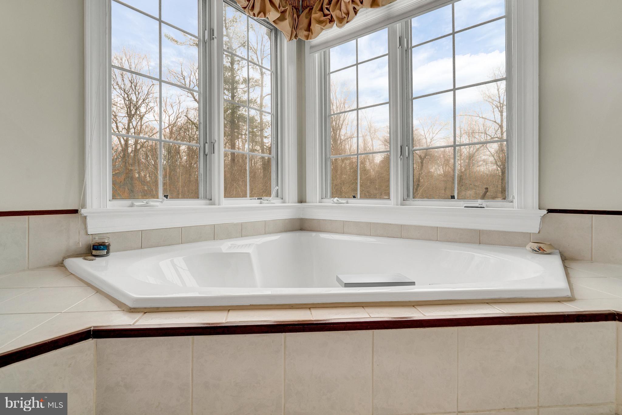 6231 Balls Mill Road Midland, VA 22728 - Photo 19 of 30 Bath (Master)