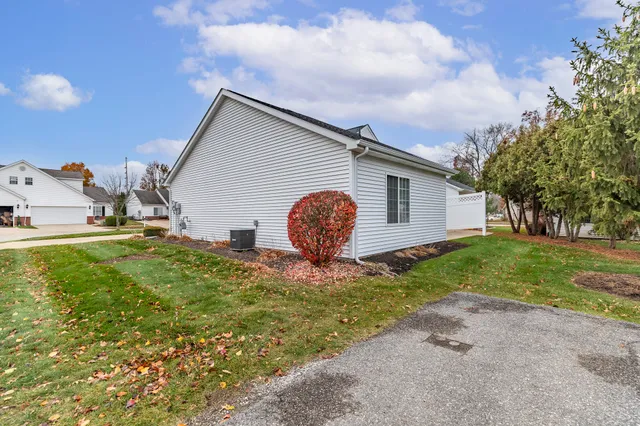 a view of a backyard with plants and a large tree