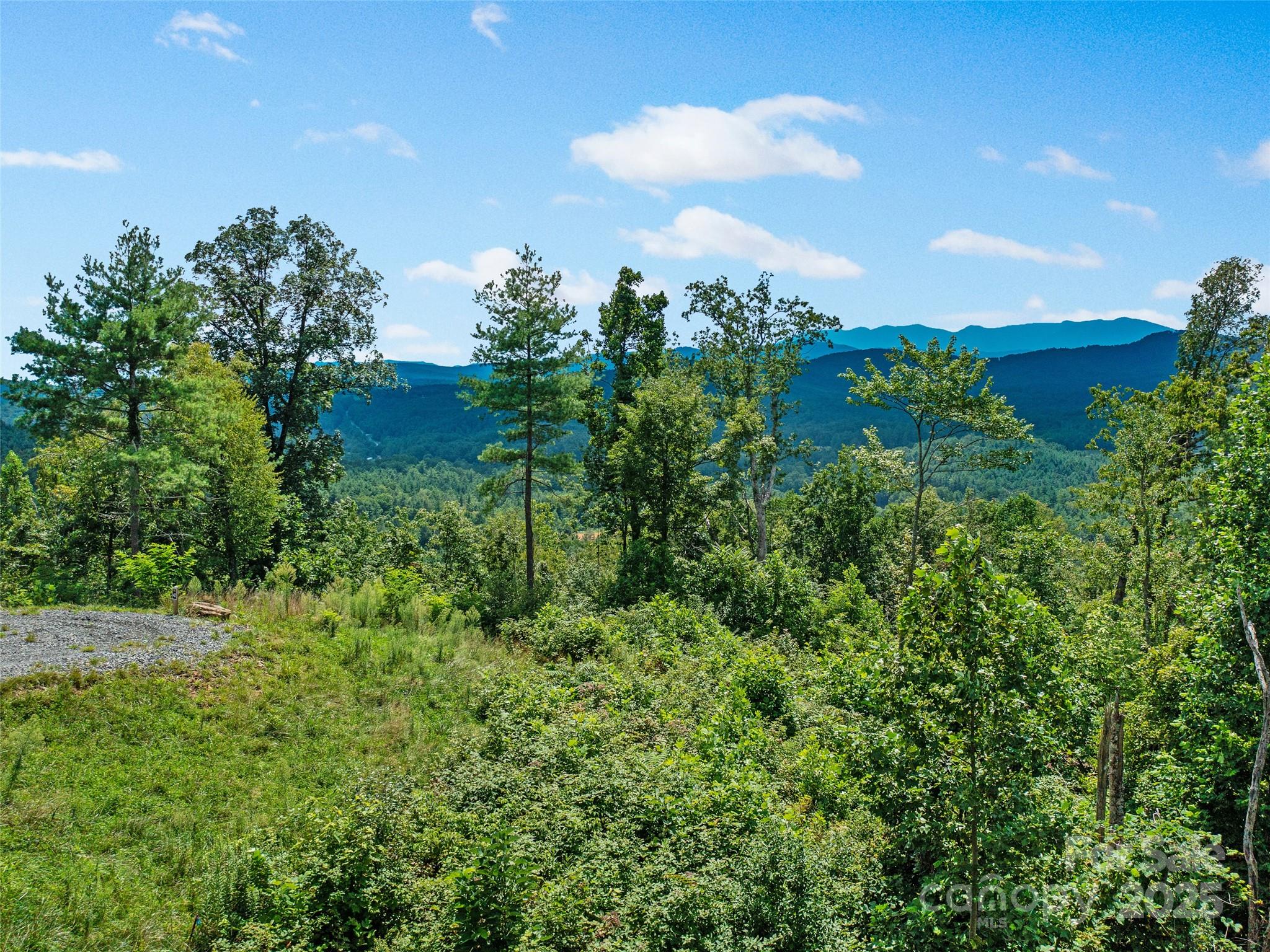 0 Summit View Parkway, Unit 42 Spruce Pine, NC 28777 - Photo 15 of 43