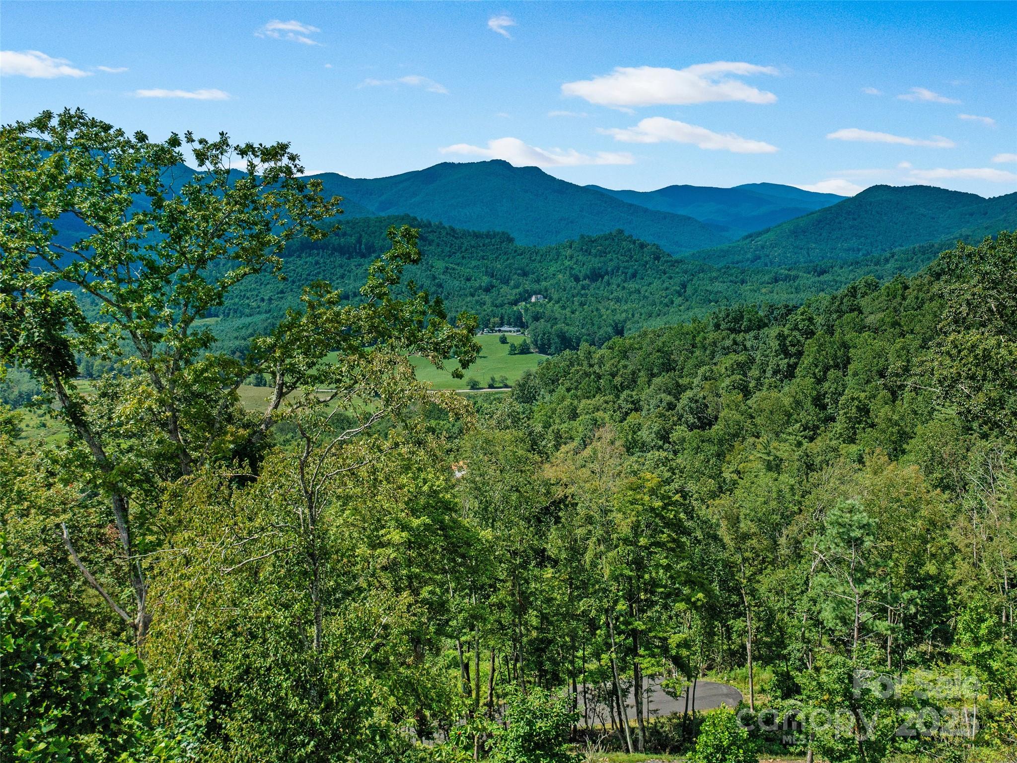 0 Summit View Parkway, Unit 42 Spruce Pine, NC 28777 - Photo 33 of 43