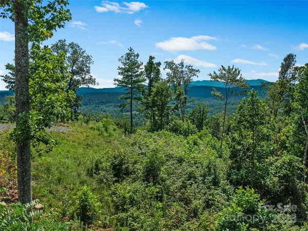 $265,000 | 0 Summit View Parkway, Unit 42, Spruce Pine, NC 28777