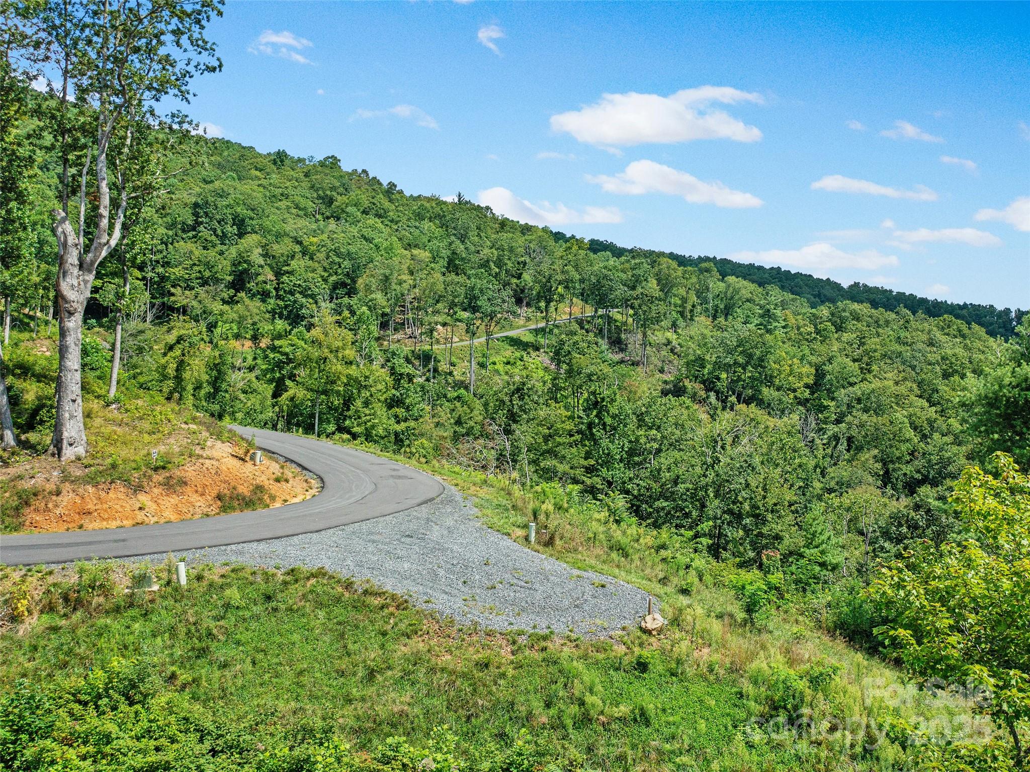 0 Summit View Parkway, Unit 42 Spruce Pine, NC 28777 - Photo 6 of 43