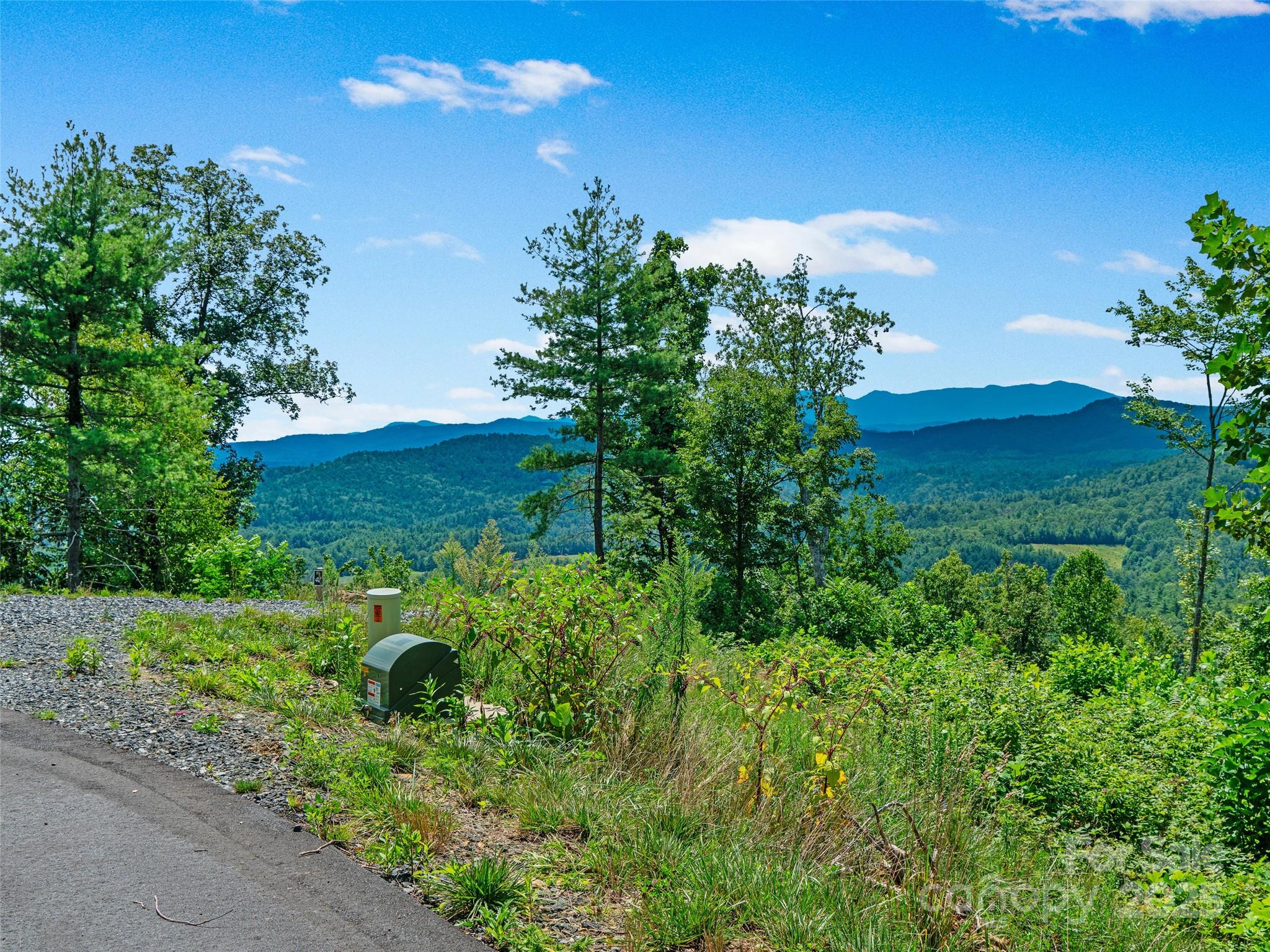 0 Summit View Parkway, Unit 42 Spruce Pine, NC 28777 - Photo 8 of 43