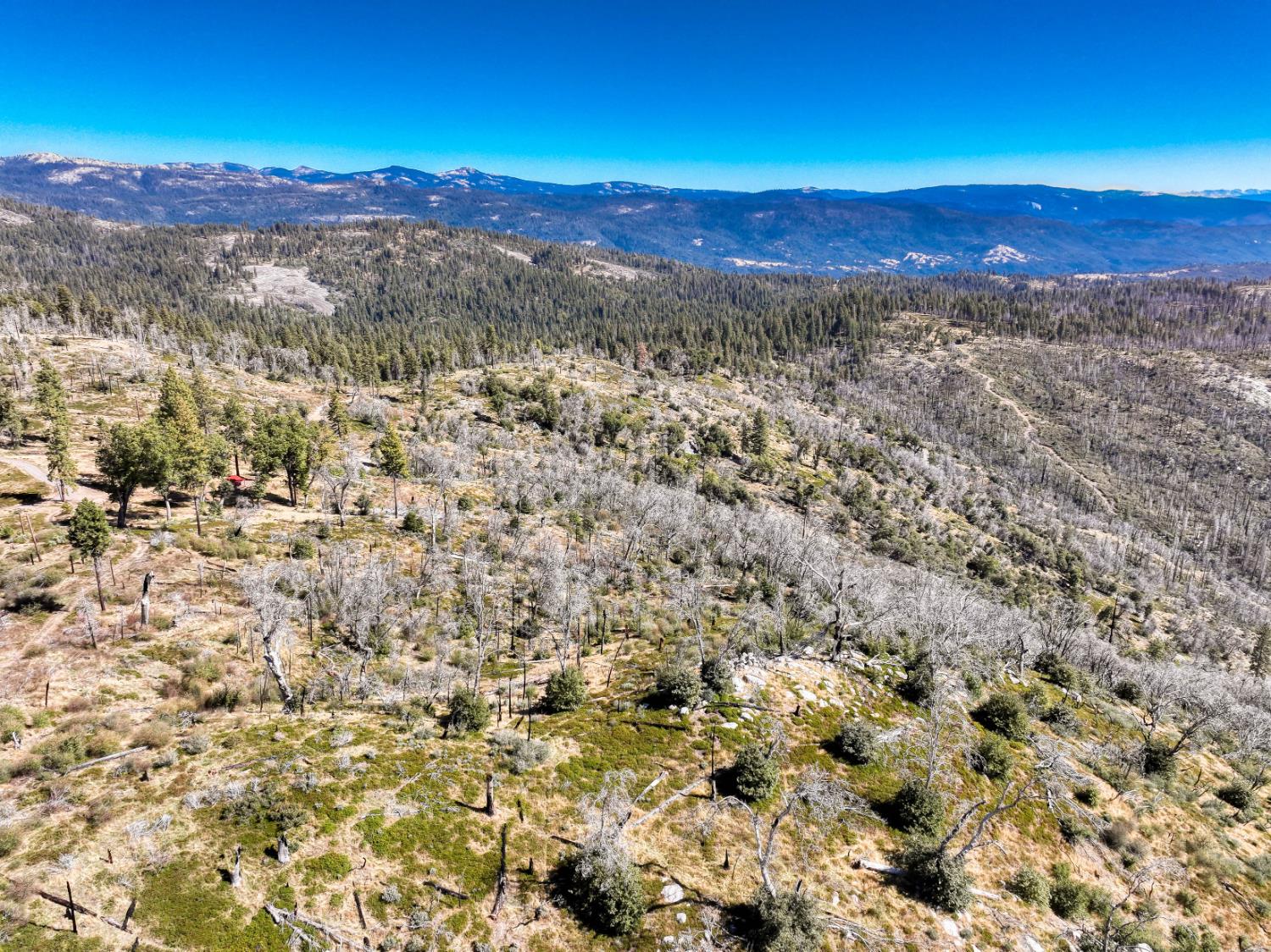 11111 Lower Cressman Road Shaver Lake, CA 93664 - Photo 14 of 23