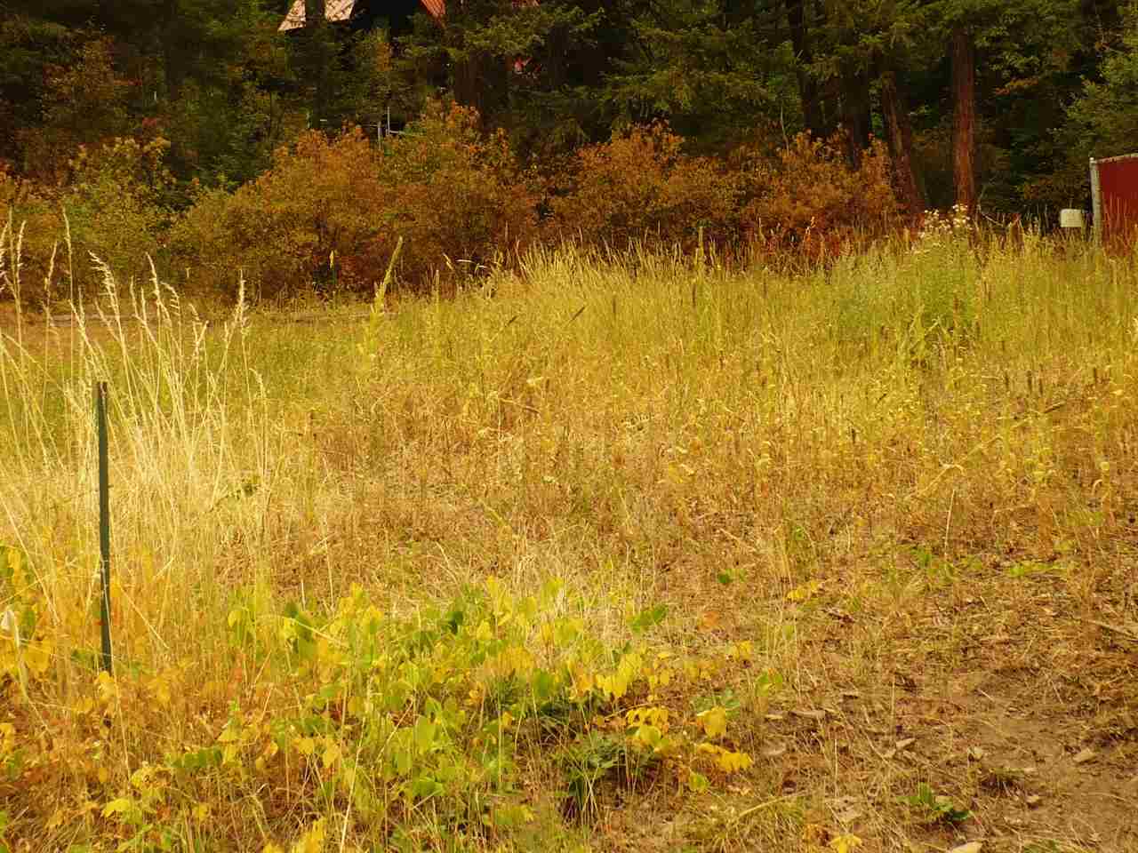 4614 Terrace Road Loon Lake, WA 99148 - Photo 1 of 6 Gallery Image 1