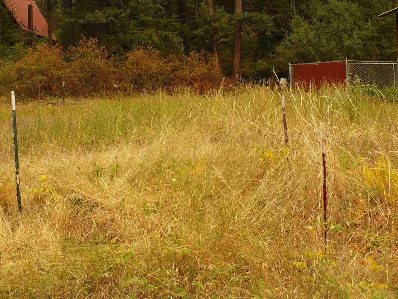 4614 Terrace Road Loon Lake, WA 99148 - Photo 4 of 6 Gallery Image 4