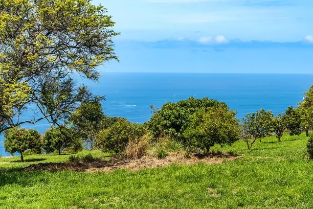 a view of a lake with a yard