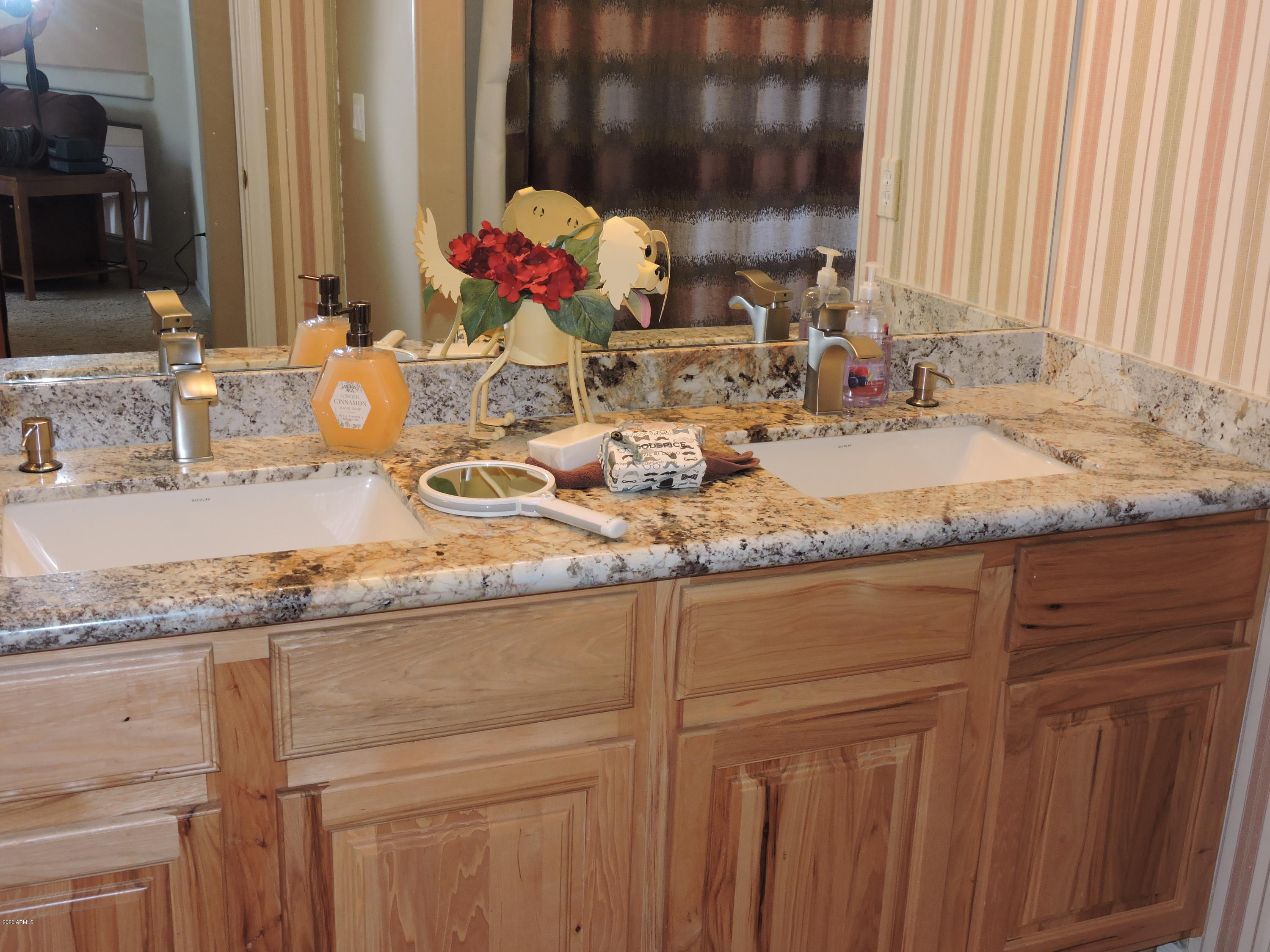 15752 West Boca Raton Road Surprise, AZ 85379 - Photo 21 of 32 DSCN6431