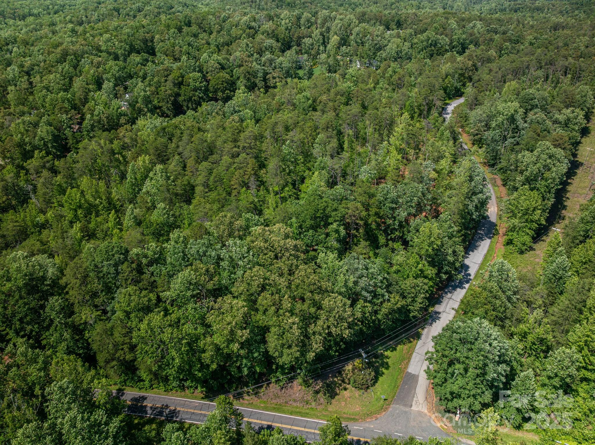 Lot #6 Cleghorn Mill Road Rutherfordton, NC 28139 - Photo 16 of 26
