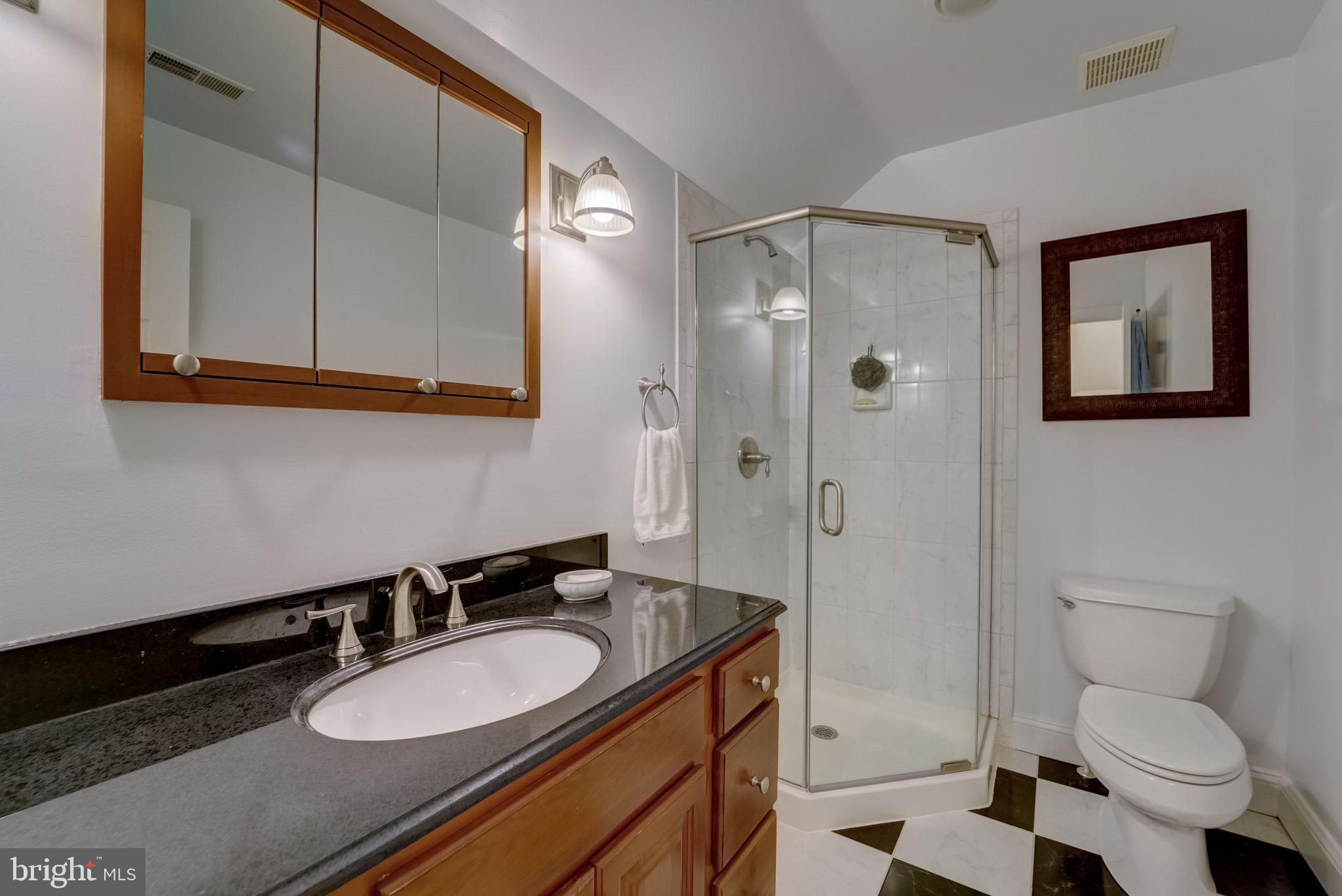 100 Evergreen Road Severna Park, MD 21146 - Photo 39 of 77 Upper Level Hall Bathroom