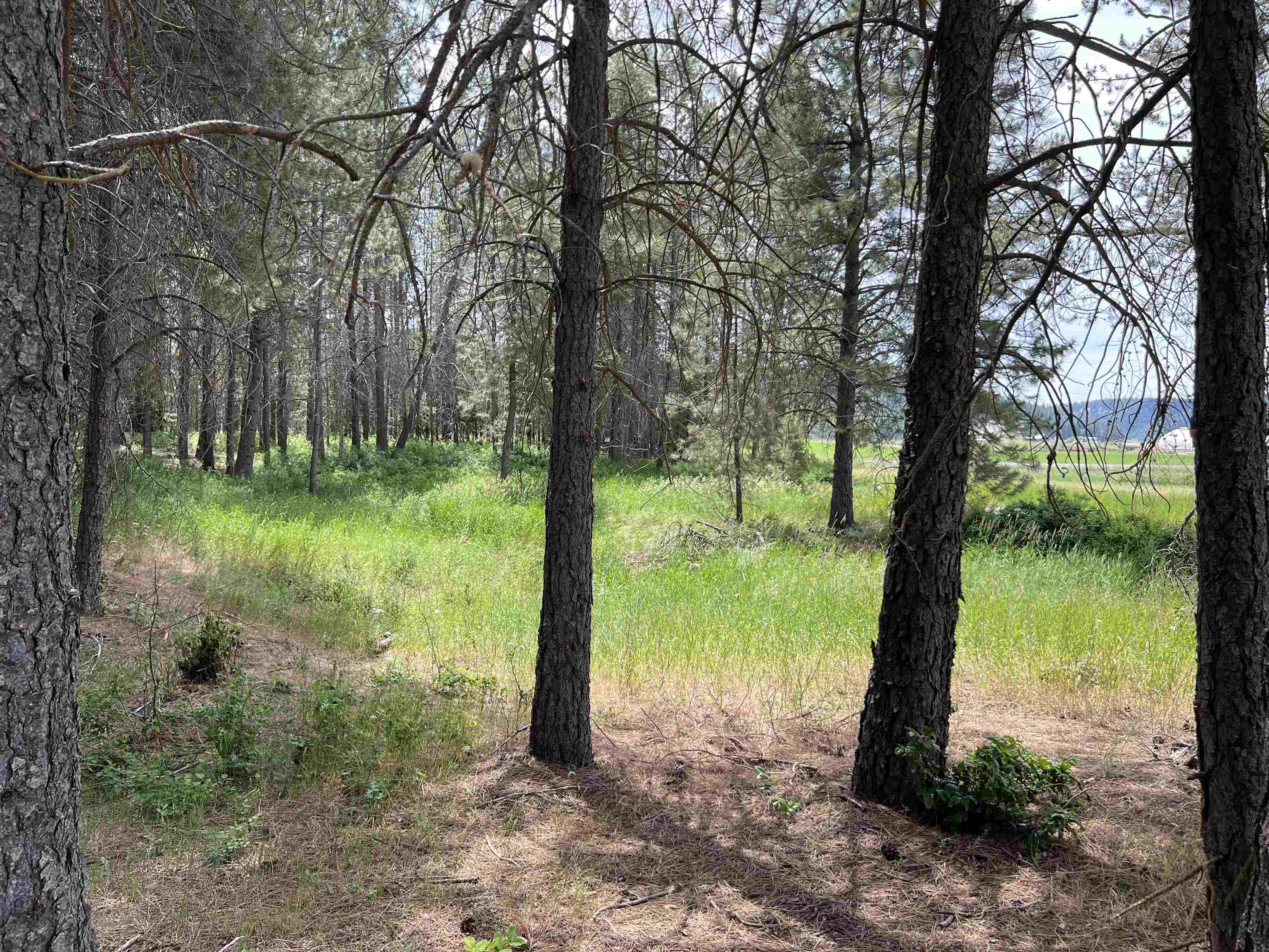 4430 D Springdale Hunters Road Springdale, WA 99173 - Photo 30 of 45