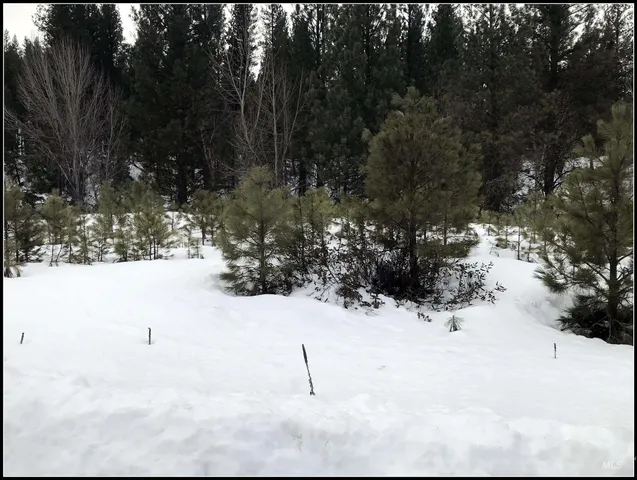 $93,990 | Lot 60 Lily Loop, Idaho City, ID 83631