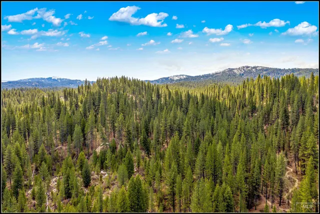 $93,990 | Lot 60 Lily Loop, Idaho City, ID 83631