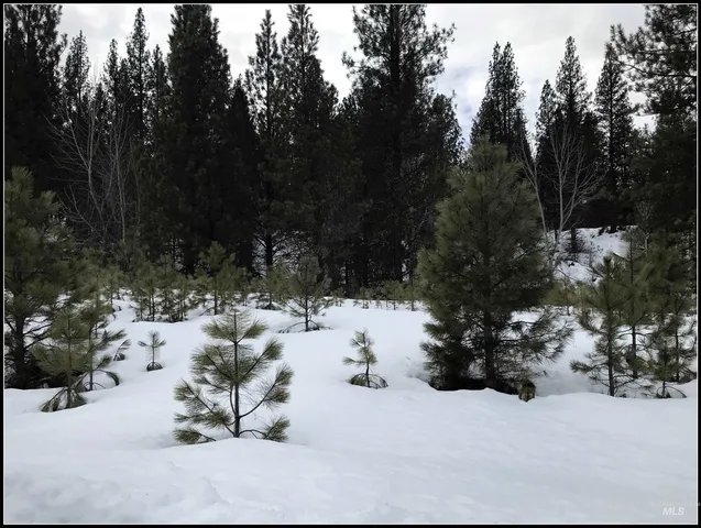 $93,990 | Lot 60 Lily Loop, Idaho City, ID 83631