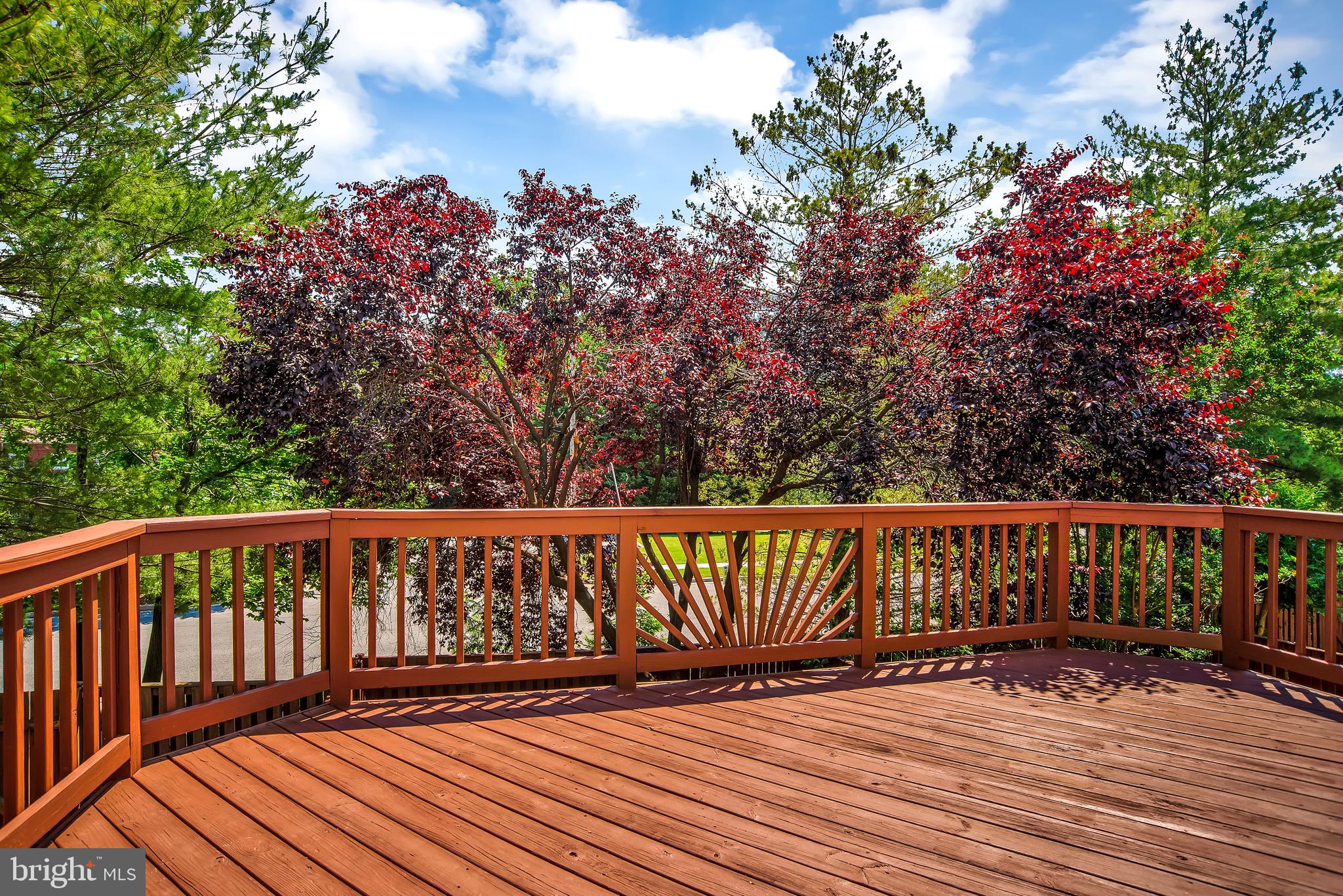 730 Howards Loop Annapolis, MD 21401 - Photo 25 of 28 Gallery Image 25