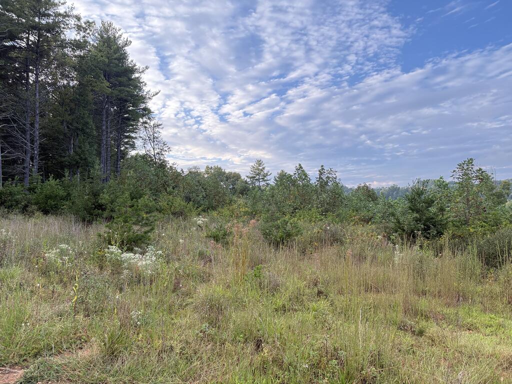 Tbd Marian Road Dugspur, VA 24325 - Photo 32 of 32 Gallery Image 32