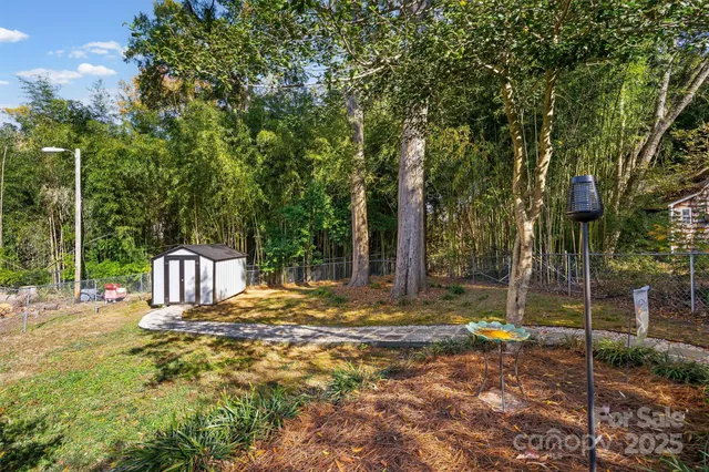 a view of yard with tree
