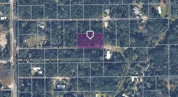 $10,000 | Tbd Northeast 162nd Lane, Citra, FL 32113