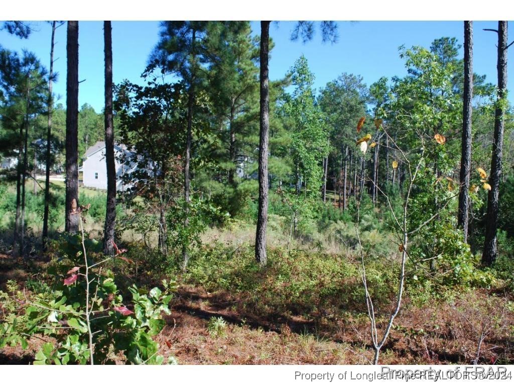 162 Broadlake Lane Spring Lake, NC 28390 - Photo 5 of 12 a view of a yard
