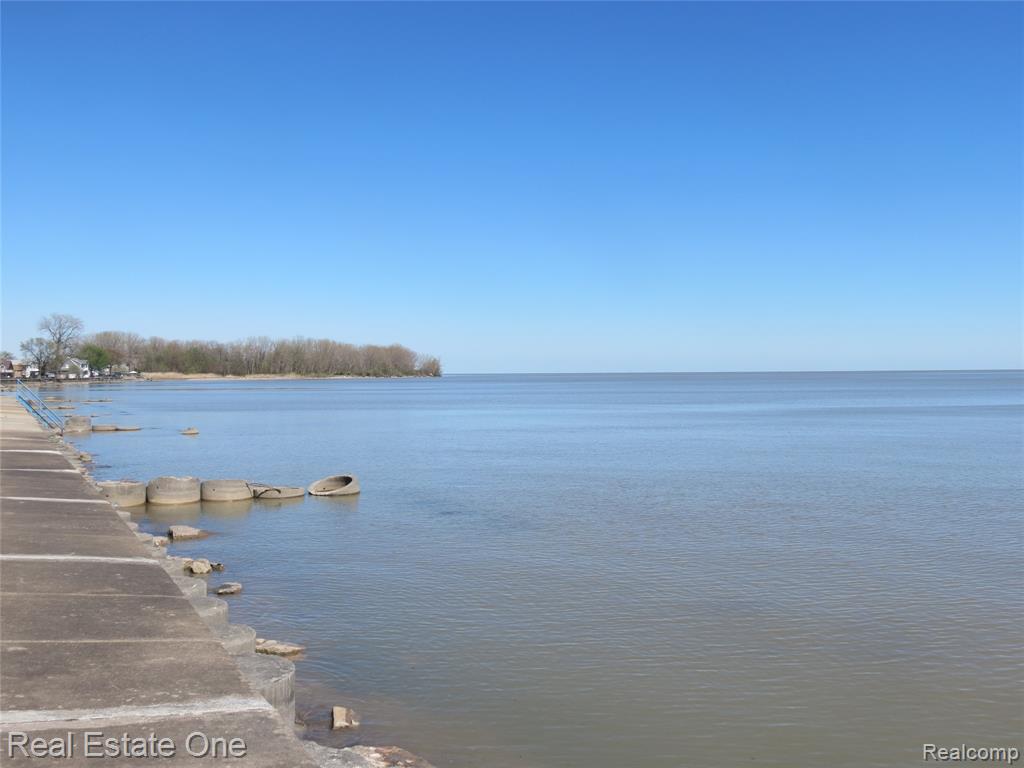 4583 Allen Cove Road Luna Pier, MI 48157 - Photo 8 of 61
