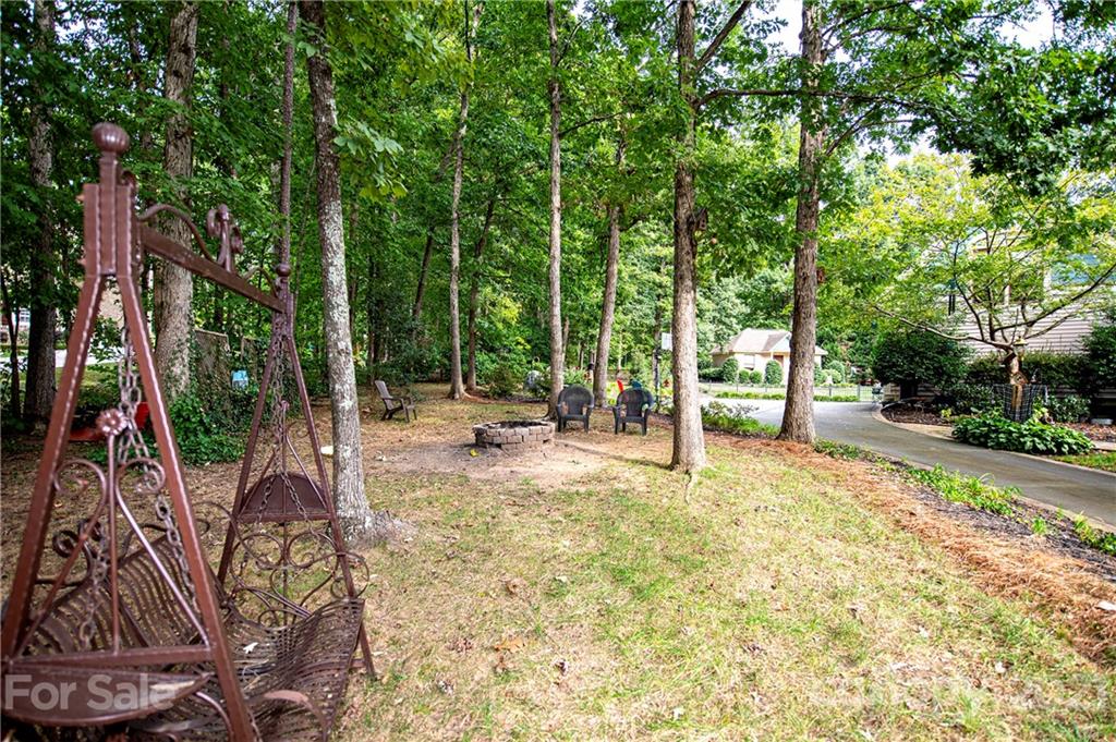 12861 Hamilton Pl Drive Fort Mill, SC 29708 - Photo 48 of 48 Gallery Image 48